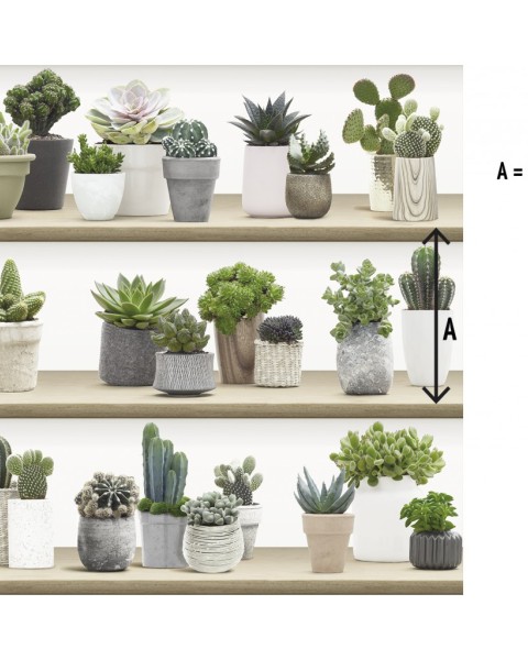KOZIEL | Stylized Cactus on Shelves #2 | 8888-413