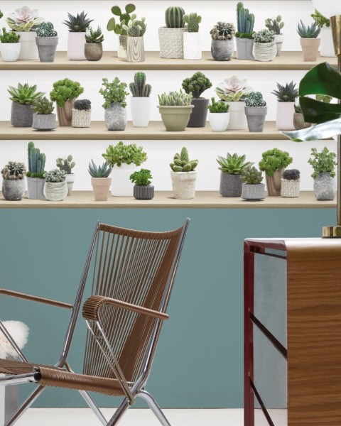 KOZIEL | Stylized Cactus on Shelves #2 | 8888-413