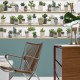 KOZIEL | Stylized Cactus on Shelves #2 | 8888-413