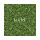 KOZIEL | Panoramic green wall murals | LPV001