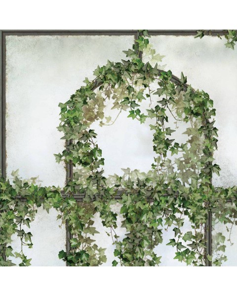 LPV057CL-X | Panoramic wallpaper black royal greenhouse covered with ivy