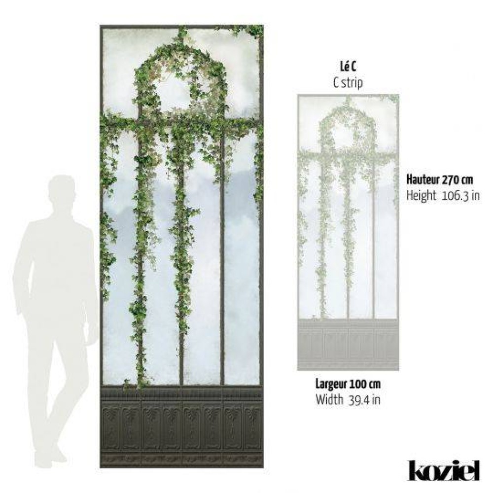 LPV057CL-X | Panoramic wallpaper black royal greenhouse covered with ivy
