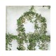 LPV059CL-X | Panoramic wallpaper beige royal greenhouse covered with ivy