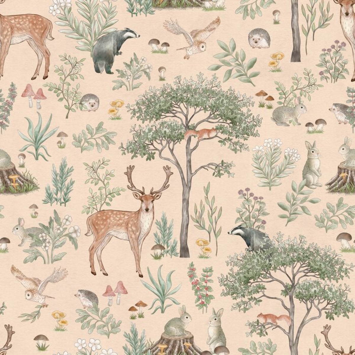 Kikki Belle | Fantastic Forest II