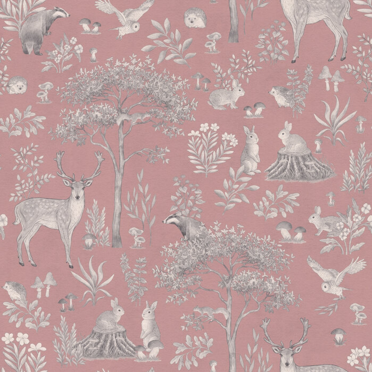 Kikki Belle | Fantastic Forest II