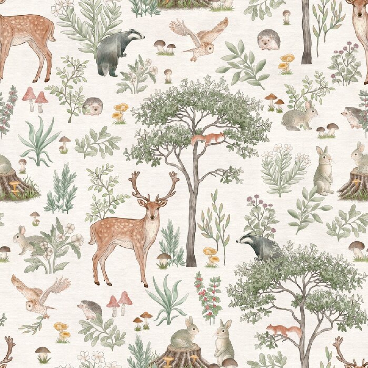 Kikki Belle | Fantastic Forest II