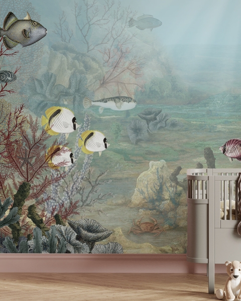 Kikki Belle | Coral Creatures