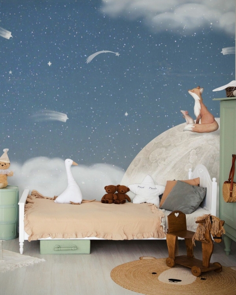 Oliver Robins | Fox on the Moon I