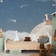 Oliver Robins | Fox on the Moon I