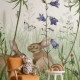 Kikki Belle | In the Undergrowth