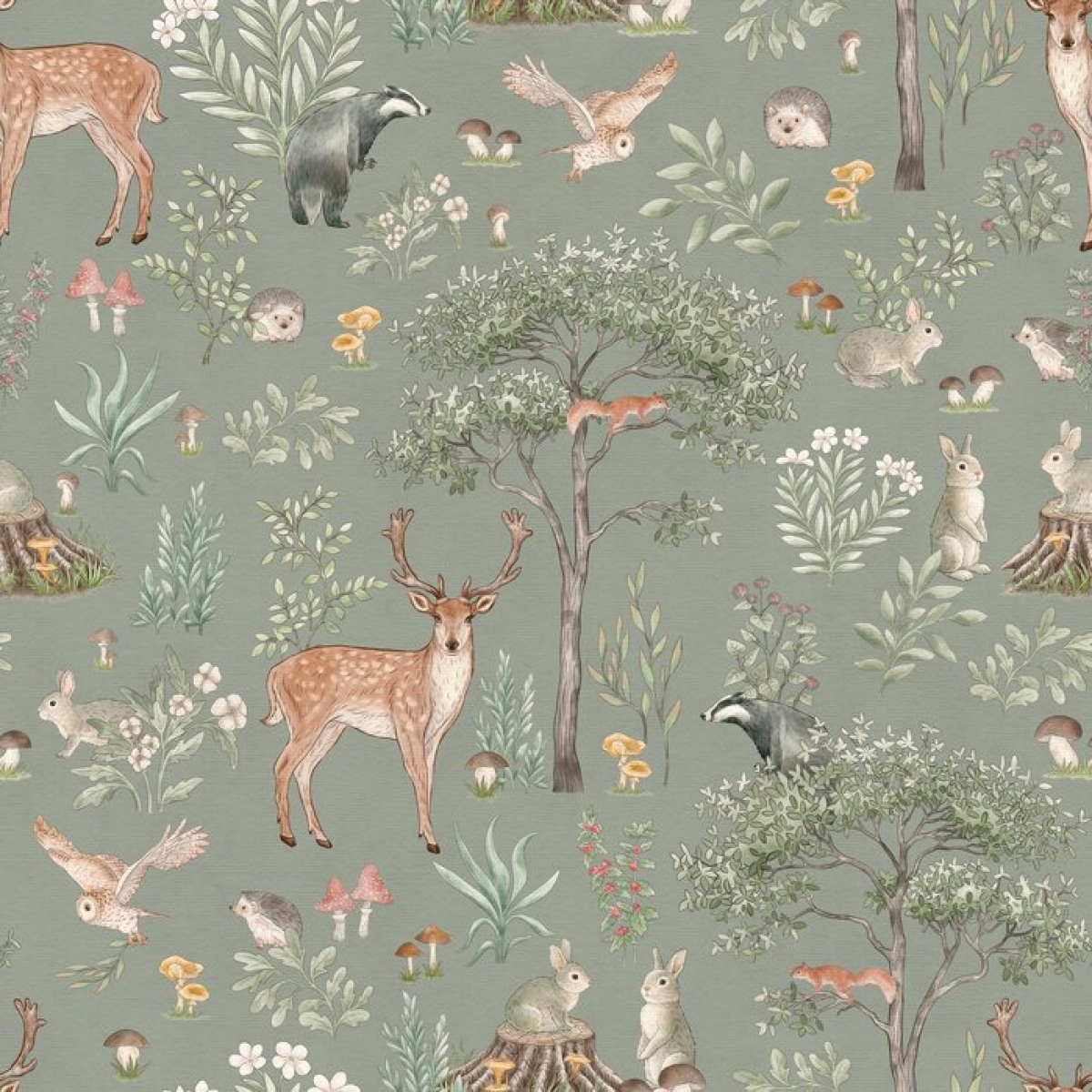 Kikki Belle | Fantastic Forest I