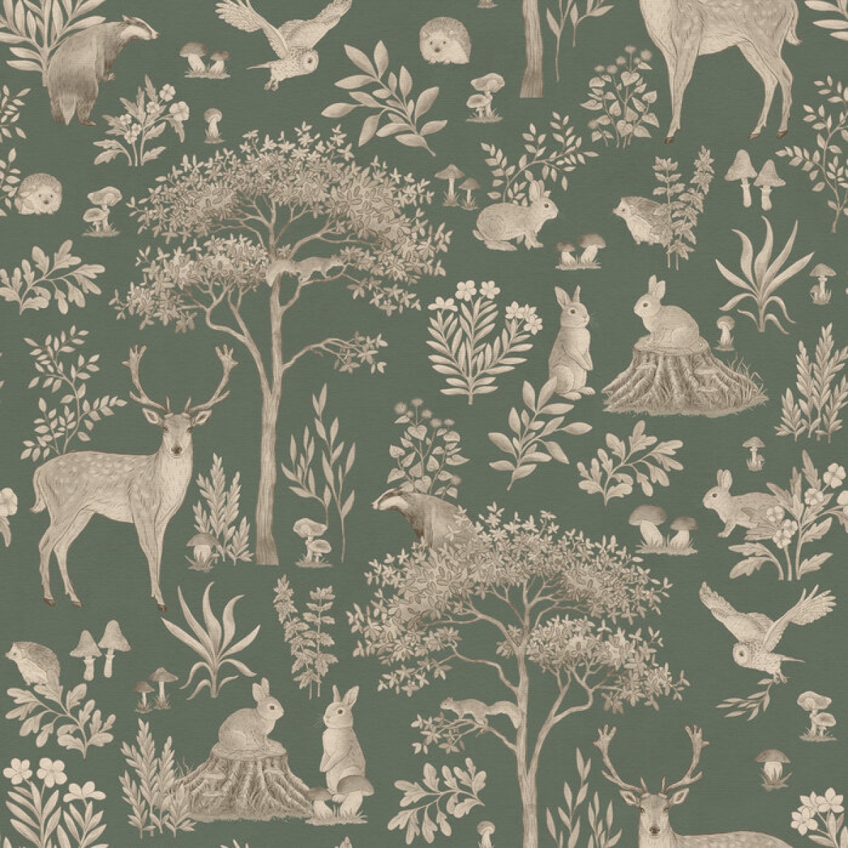 Kikki Belle | Fantastic Forest I