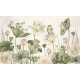 Kikki Belle | Water Lily Orchestra