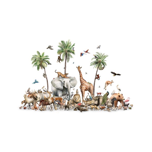 Kikki Belle | Beautiful Biodiversity