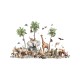 Kikki Belle | Beautiful Biodiversity