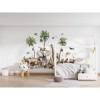 Kikki Belle | Beautiful Biodiversity