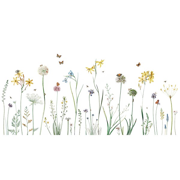 Kikki Belle | Butterfly Garden