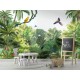 Kikki Belle | Canopy Jungle