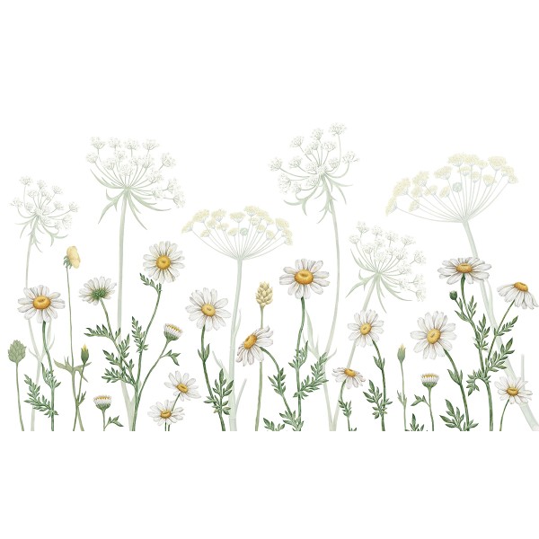 Kikki Belle | Dazzling Daisies