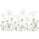 Kikki Belle | Dazzling Daisies