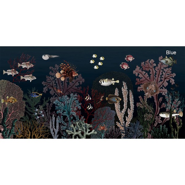 Kikki Belle | Roaring Reef