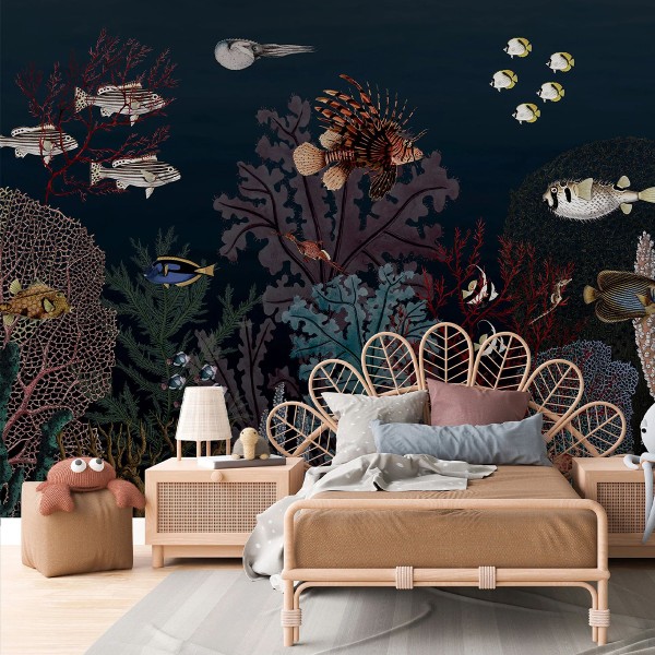 Kikki Belle | Roaring Reef