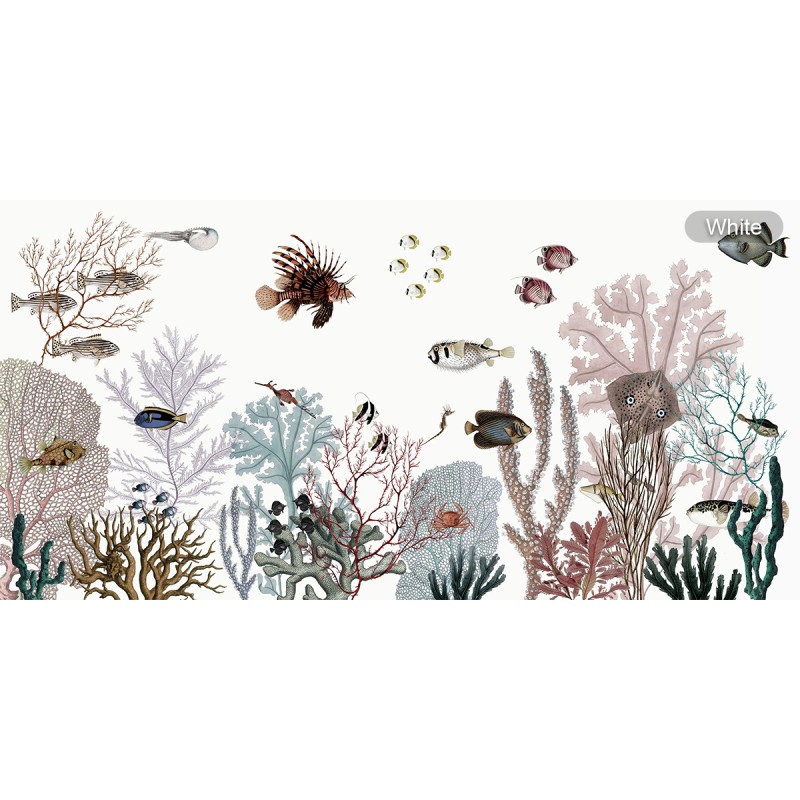 Kikki Belle | Roaring Reef