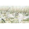 Kikki Belle | Spectacular Swans
