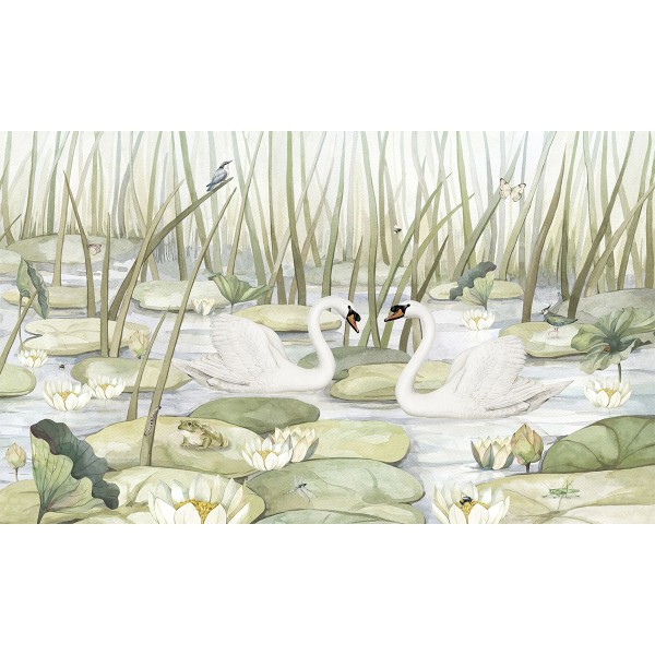 Kikki Belle | Spectacular Swans