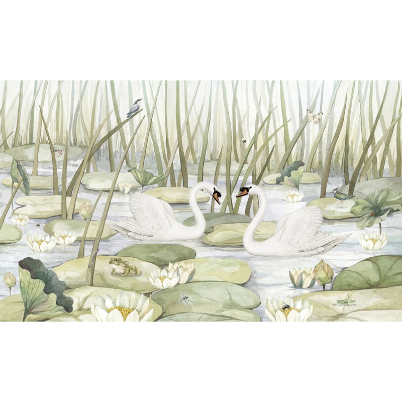 Kikki Belle | Spectacular Swans