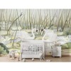 Kikki Belle | Spectacular Swans