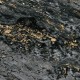 CUST-LPM014 | Black & Gold Sarrancolin marble 