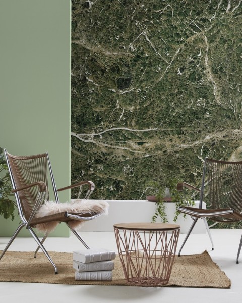 CUST-LPM023 | Green Emperador marble panoramic wall mural