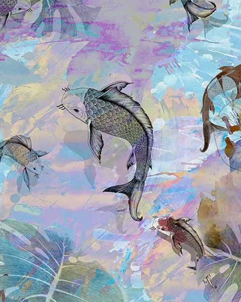 Latapicera | Koi