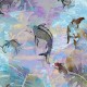 Latapicera | Koi