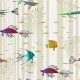 Latapicera | Trully Fish