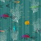 Latapicera | Trully Fish