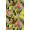Latapicera | Scottish Toucan