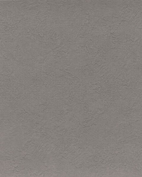 Lilycolor / Plain Grey LV3126
