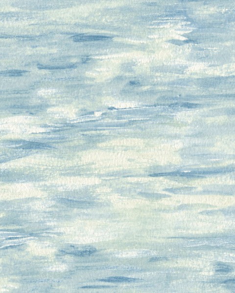 Lilycolor | Will | LW-55