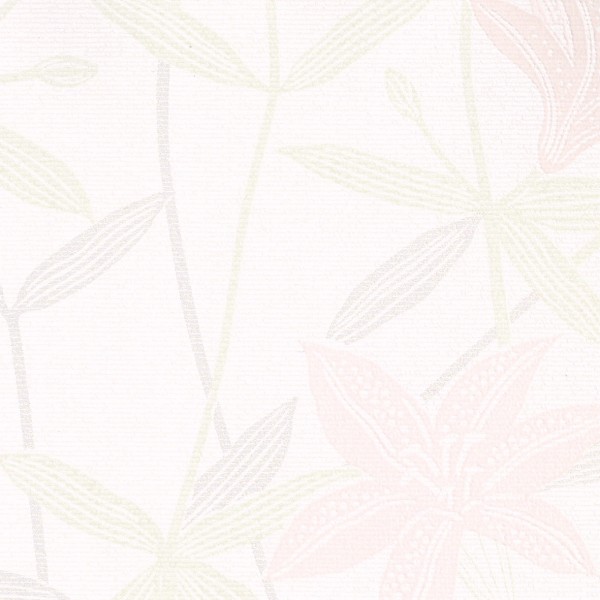 Lilycolor | Will | LW-141