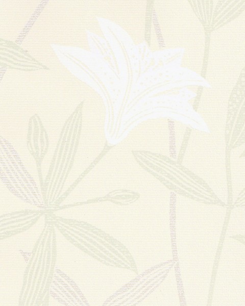 Lilycolor | Will | LW-142