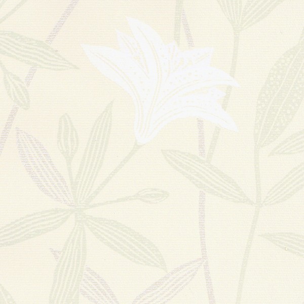 Lilycolor | Will | LW-142