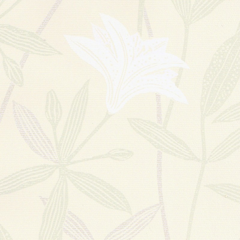 Lilycolor | Will | LW-142