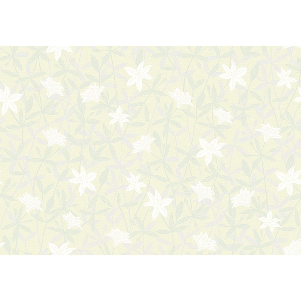 Lilycolor | Will | LW-142