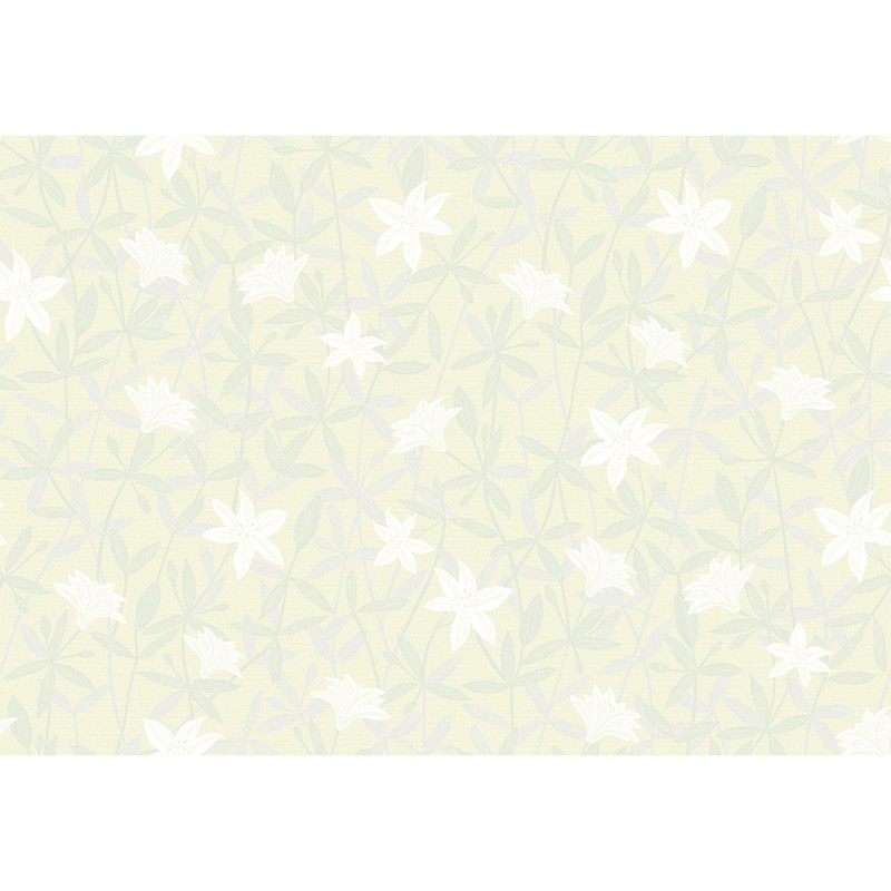 Lilycolor | Will | LW-142