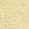 Lilycolor | Will | LW-144