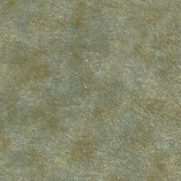 Lilycolor | Will | LW-151