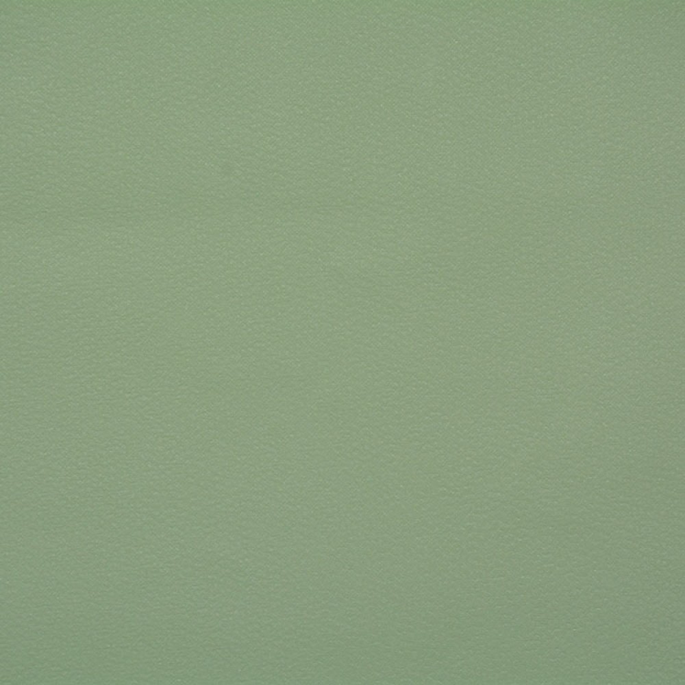 Lilycolor / Plain Green LW4647