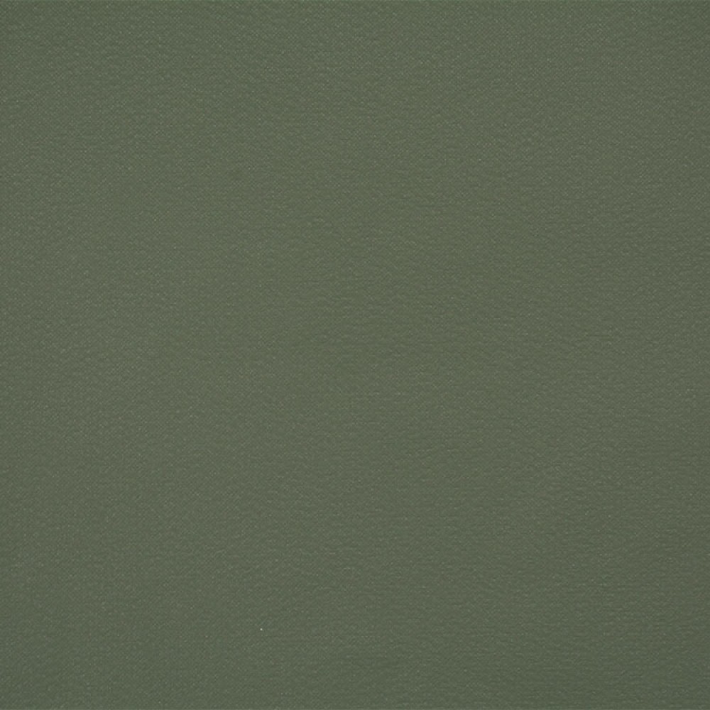 Lilycolor / Plain Green / LW4648